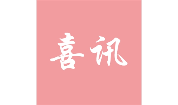 喜讯|平博·pinnacle股份策尼特940型全自动砌块成型机入选绿色矿山百项装备（技术）