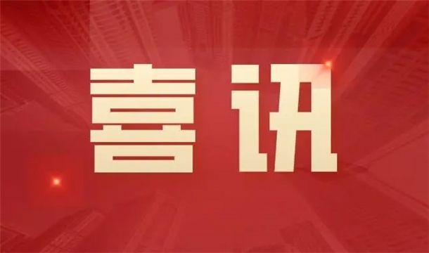 喜讯|平博·pinnacle股份HP-1200T型全自动仿石砖生产线入选2021年度福建省工业和信息化重点新产品推广目录（第一批）