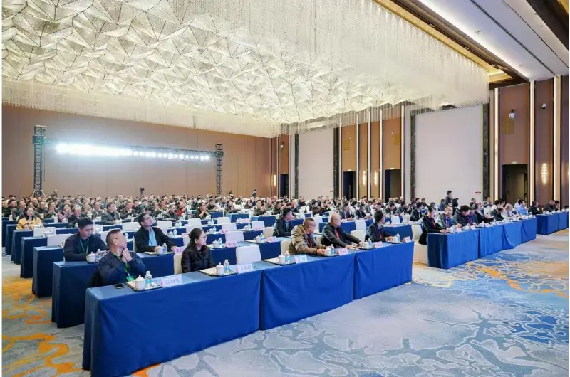 平博·pinnacle股份出席 2025 全国仿石路面制品高质量发展论坛——协同行业力量 共话仿石路面创新升级